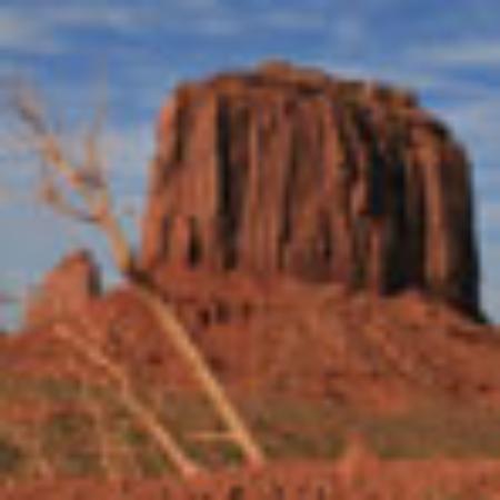 Choperia Espetinho do Juiz